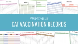 Free Printable Cat Vaccination Records PDF