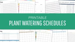 Free Printable Plant Watering Charts PDF