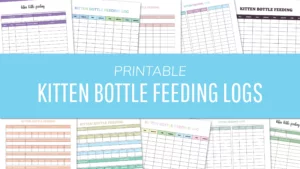Kitten Bottle Feeding Logs - Instant Download PDF