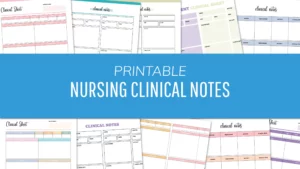 Free Printable Nursing Clinical Sheets Notes