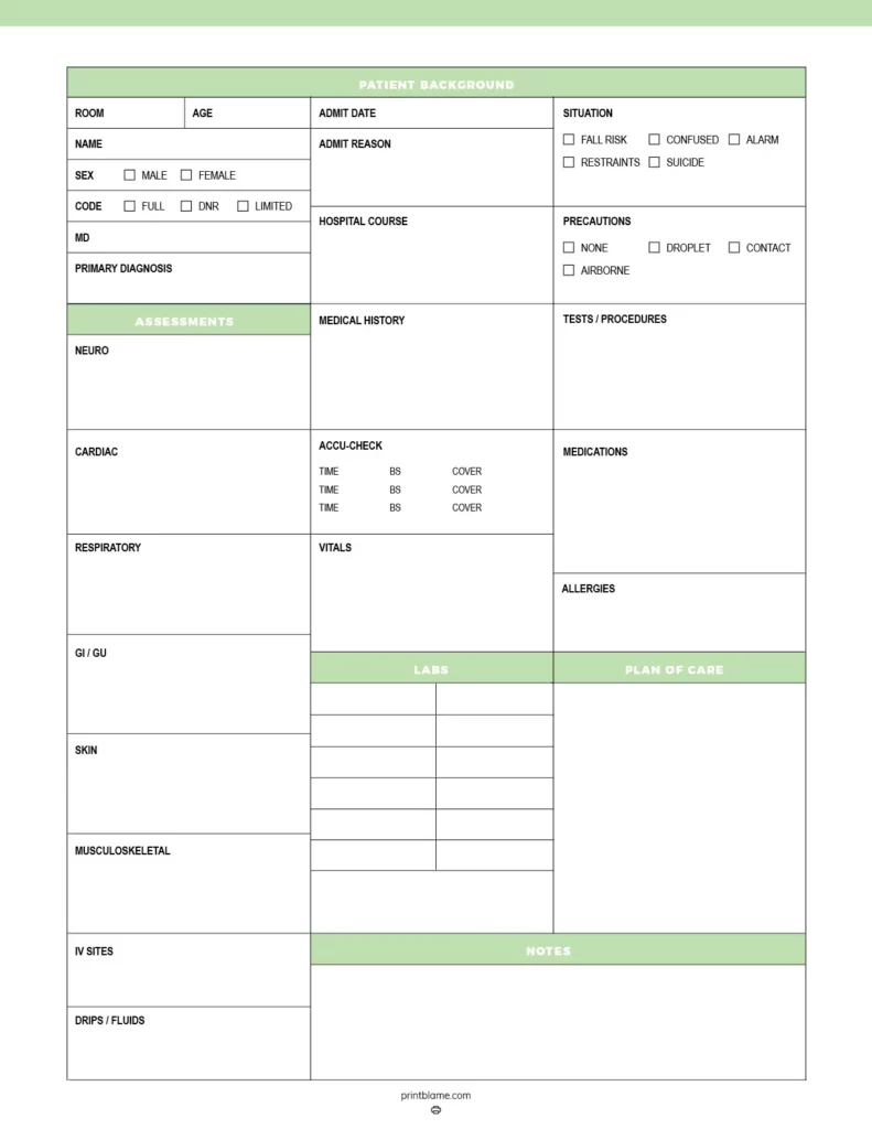 Rn brain sheet featuring a structured layout for recording patient background, assessments, and medical history, highlighted in soft greens and whites.